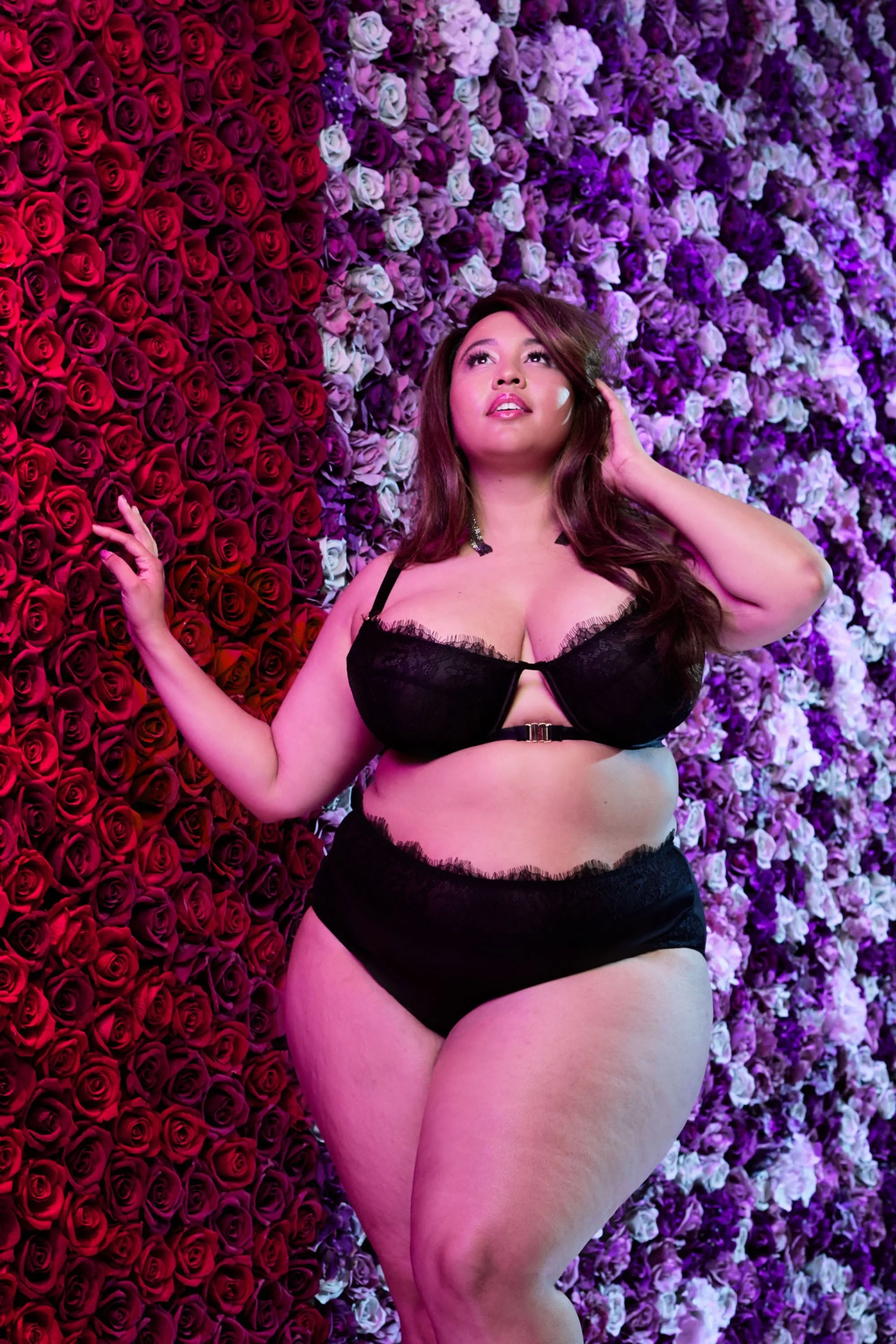 Fernanda High Waist Lace Brief