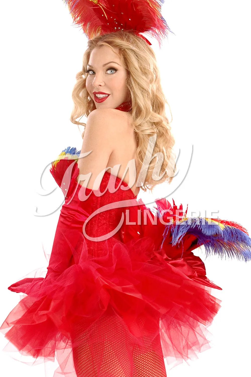 Macaw Corset
