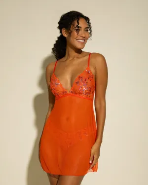 Nuisette