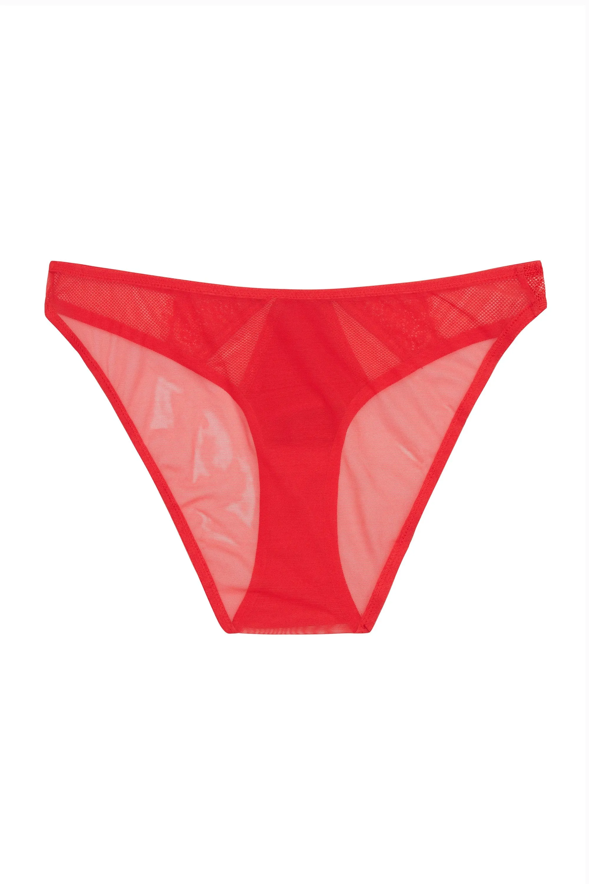 Zoya Brief